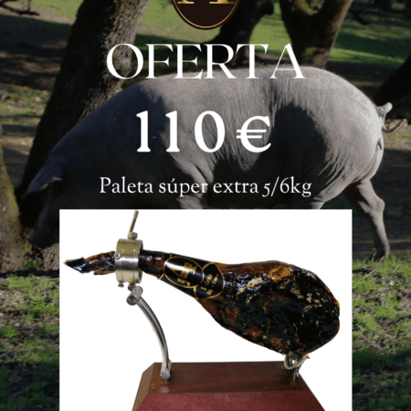 Paleta Súper Extra Ana Toribia Aracena