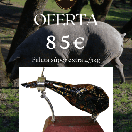 Paleta Súper Extra Ana Toribia Aracena