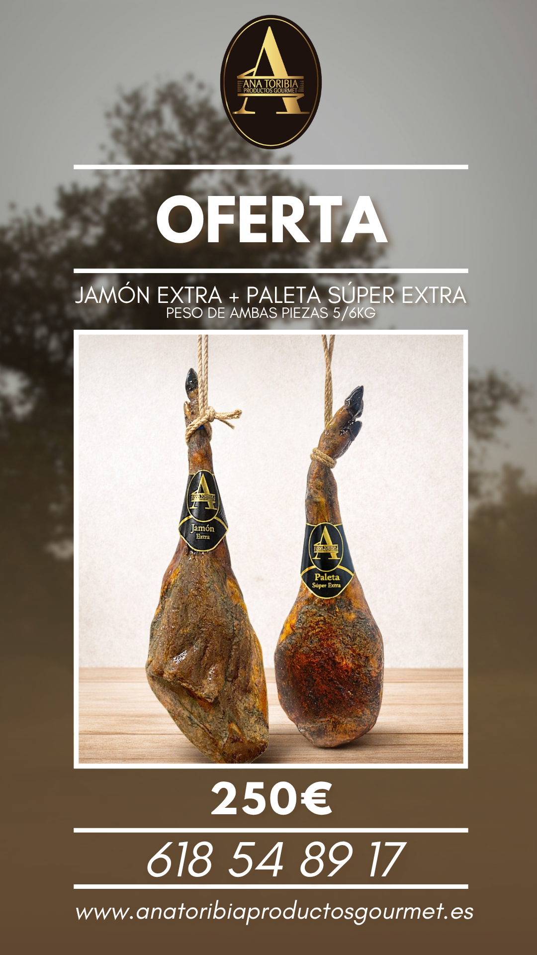 COMBO JAMÓN EXTRA + PALETA SÚPER EXTRA